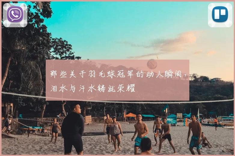 那些关于羽毛球冠军的动人瞬间,泪水与汗水铸就荣耀