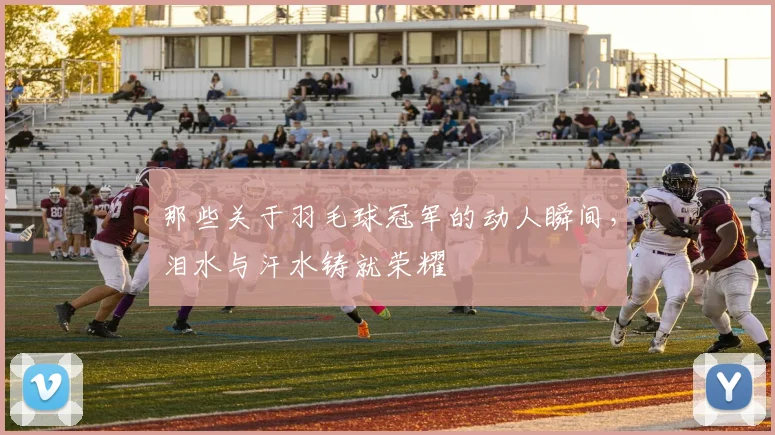 那些关于羽毛球冠军的动人瞬间,泪水与汗水铸就荣耀