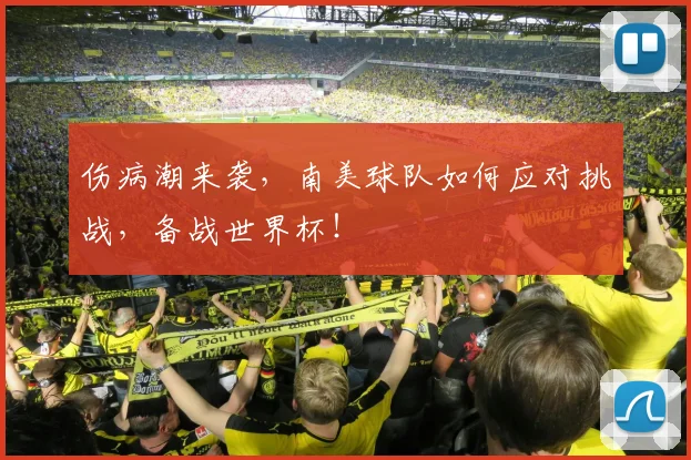 伤病潮来袭,南美球队如何应对挑战,备战世界杯!